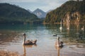 Beautiful view of Alpsee, with scenic mountain landscape near Fussen, Bavaria, Germany Royalty Free Stock Photo