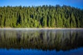 Beautiful view of an amazing green spruce forest reflected on the lake in the beautiful morning light in the village of Smida.