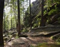 View of ancient stones and hills in the green forest.