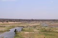 Beautiful view and animals in Kruger Southafrica