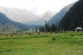 Beautiful view of the Aru Valley in Pahalgam, Kashmir, India Royalty Free Stock Photo