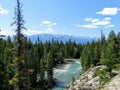 A beautiful view of the Athabasca River, visible from the Maligne Canyon trailhead.