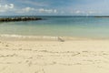 Beautiful view of Atlantic ocean sand beach. Yellow sand turning into dark blue water that merges  with light blue sky.  Key West, Royalty Free Stock Photo