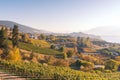 Panoramic sunset view of vineyards and wineries in October