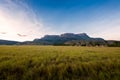 Beautiful view of the Auyantepuy. Canaima Natinal Park, Venezuela- BolÃÂ­var State