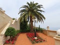 Beautiful view in the Bahai Gardens in Haifa , Israel. Royalty Free Stock Photo