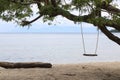 Beautiful view on Bama Beach, Baluran National Park, Indonesia. Royalty Free Stock Photo