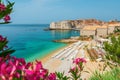 Beautiful view of Banje beach and old town of Dubrovnik with summer flowers in Croatia Royalty Free Stock Photo