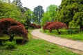 Beautiful view of Batumi botanical garden, Georgia