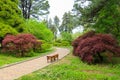 Beautiful view of Batumi botanical garden, Georgia