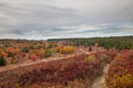 Beautiful view of Bear Rocks hiking trail in Dolly Sods Wilderness Area in West Virginia Royalty Free Stock Photo