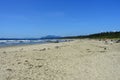 A beautiful view of the beautiful Wickaninnish beach, on a sunny clear summer day outside Tofino, British Columbia, Canada.