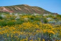 Amazing landscape of mountain Big Bogdo and blooming steppe against sky. Russia