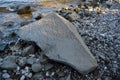 Beautiful view on the big stone covered with algae on the river bank from pebbles