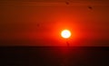 Beautiful view of birds flying over the sea at the orange sunset Royalty Free Stock Photo