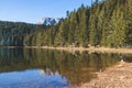 Beautiful view of Black lake, Crno Jezero in Durmitor National Park, Zabljak, northern Montenegro, landscape in a sunny day with Royalty Free Stock Photo