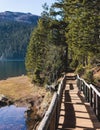 Beautiful view of Black lake, Crno Jezero in Durmitor National Park, Zabljak, northern Montenegro, landscape in a sunny day with Royalty Free Stock Photo