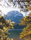 Beautiful view of Black lake, Crno Jezero in Durmitor National Park, Zabljak, northern Montenegro, landscape in a sunny day with Royalty Free Stock Photo