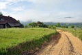 Beautiful view, blooming viren bush, road