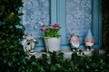 Beautiful view of a blue framed window with pink flowers in the pot and garden gnomes Royalty Free Stock Photo