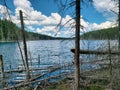 Beautiful view on the Blue Lakes Hiking Trail during the summer at Duck Mountain Provincial Park, Manitoba, Canada Royalty Free Stock Photo