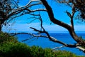 Beautiful view of the blue Mediterranean sea through a pine tree, vacation concept. Royalty Free Stock Photo