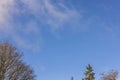 Beautiful view of blue sky with white clouds over tops of trees.