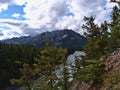 Beautiful view of Bow River surrounded by forests of green coniferous trees near Banff, Alberta, Canada in the Rocky Mountains. Royalty Free Stock Photo