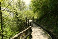 Beautiful view of a bridge through the woods Royalty Free Stock Photo