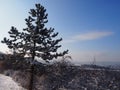 Beautiful view from Buda Mountains Royalty Free Stock Photo