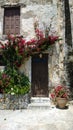 Beautiful view of the building with entrance door and blooming flowers around her. Royalty Free Stock Photo