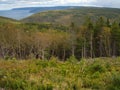 Beautiful view from Cabot Trail, Cape Breton National Park, Nova Scotia, Canada Royalty Free Stock Photo