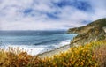 A Beautiful View of the California Coastline along State Road 1 -USA Royalty Free Stock Photo