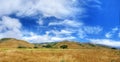 A Beautiful View of the California Coastline along State Road 1 -USA Royalty Free Stock Photo