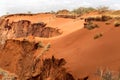 Beautiful view of the canyon erosion furrows, in the reserve Tsingy Ankarana, Madagascar