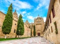 Beautiful view of Cathedral of Salamanca, Castilla y Leon, Spain Royalty Free Stock Photo