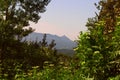 Caucasus mountains through green trees Royalty Free Stock Photo