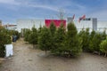 Beautiful view of christmas tree market. Gorgeous  green trees on blue sky background. Royalty Free Stock Photo