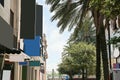 Beautiful view of city street with modern buildings and palm trees Royalty Free Stock Photo