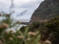 Beautiful view of the cliff Tasmania remarkable cave with plants by water in Australia