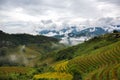 Beautiful view of clouds slowly rising in the morning in the mountains of Vietnam highlands