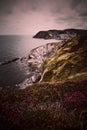 Cliff and sea in the coast