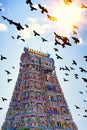 Beautiful view of colorful gopura in the Hindu Kapaleeshwarar Te