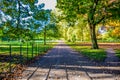 Beautiful view of Hyde Park during autumn season, London, England, UK Royalty Free Stock Photo