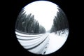 Beautiful view of conifer forest near road on snowy day, fish eye effect