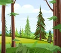 Beautiful view from the coniferous forest to rural fields. Summer landscape with trees. Green pines and ate