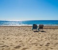 Beautiful view of the  couches by the beach Royalty Free Stock Photo