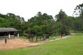 Beautiful view of the country side of Brazil. Pine trees and the vegetation in a farm hotel.