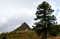 Beautiful view of the countryside around El Roque Imoque mountain with Canary pine trees in Ifonche,Tenerife,Canary Islands,Spain. Royalty Free Stock Photo