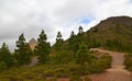 Beautiful view of the countryside around Roque de los Brezos and Roque Imoque mountain with Canary pine trees in Ifonche,Tenerife. Royalty Free Stock Photo